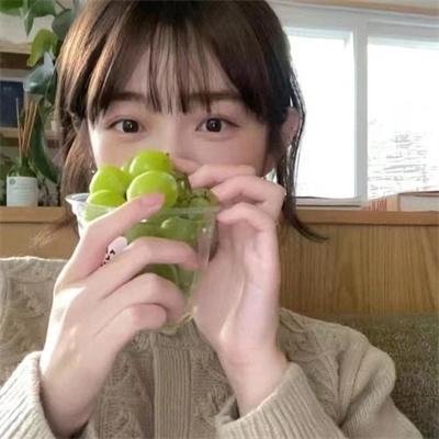 和歌子酒第二季